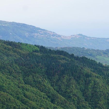 Ghum Tranquil Retreat Homestay מראה חיצוני תמונה