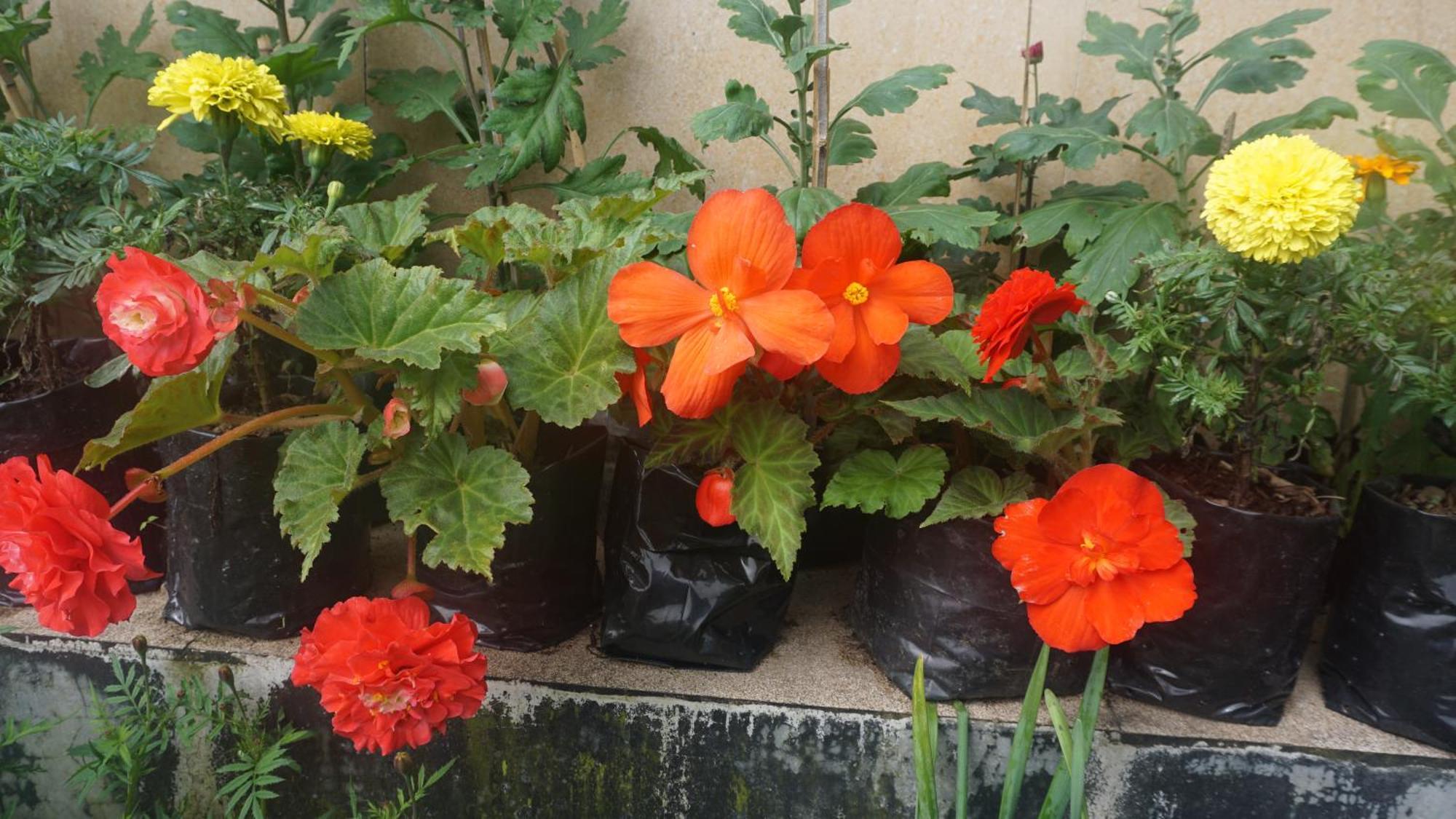 Ghum Tranquil Retreat Homestay מראה חיצוני תמונה