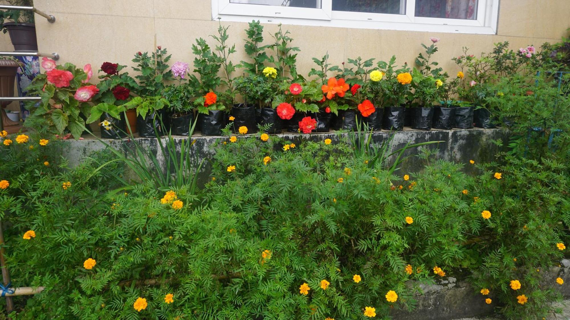 Ghum Tranquil Retreat Homestay מראה חיצוני תמונה