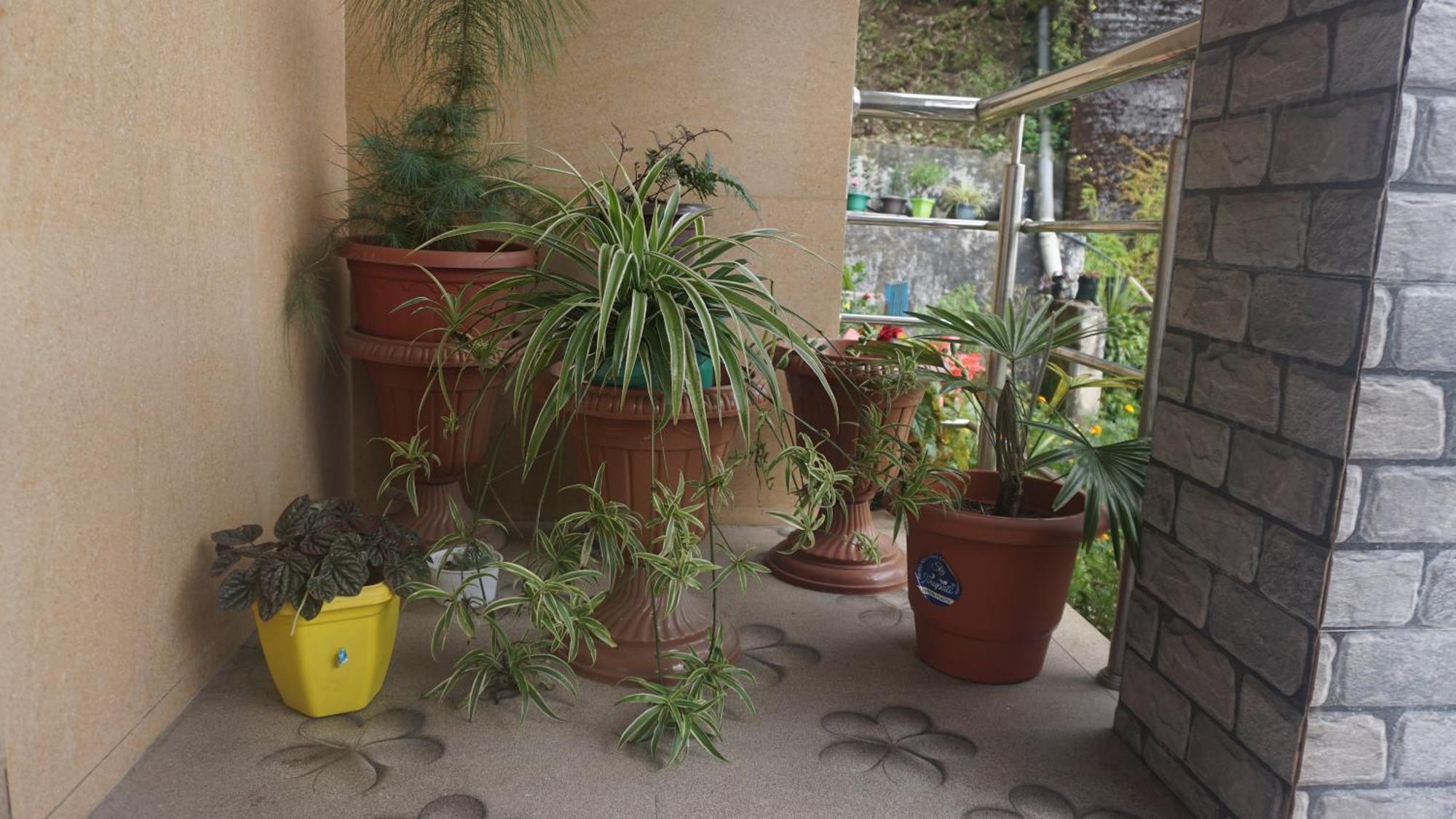 Ghum Tranquil Retreat Homestay מראה חיצוני תמונה