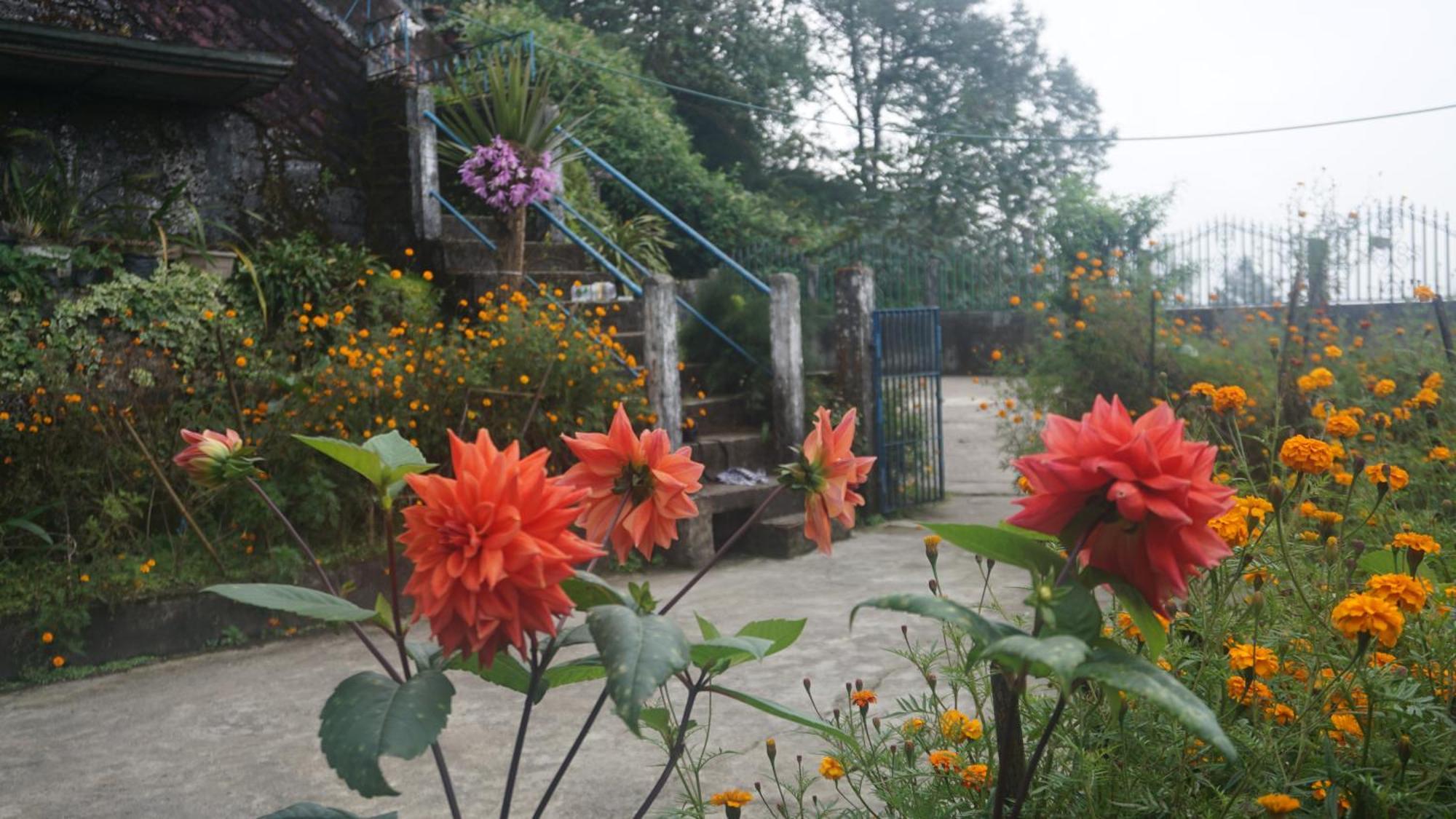 Ghum Tranquil Retreat Homestay מראה חיצוני תמונה